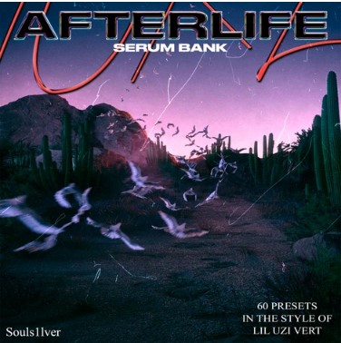 Souls1lver - Afterlife (Serum Bank + Midi)